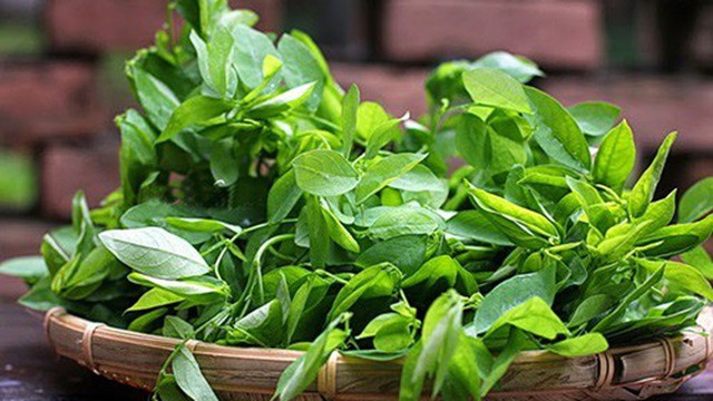 phá thai bằng rau ngót